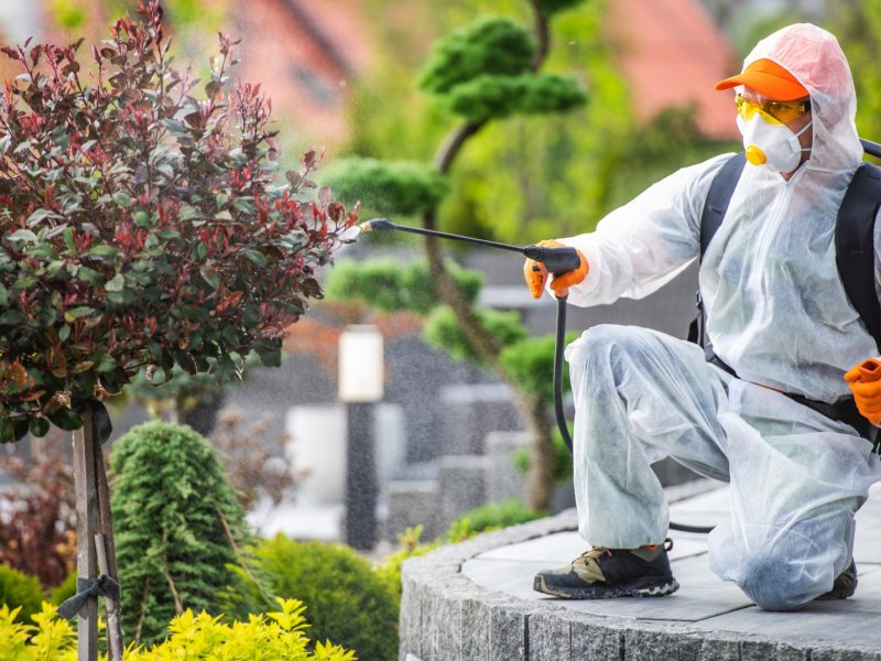 Menderes Haşere İlaçlama